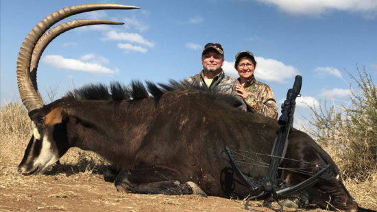 Bow-Hunting Bow-Hunting