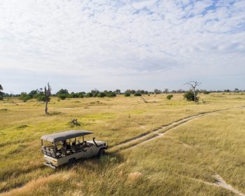 Moremi-Game-Reserve-Game-Drive-85