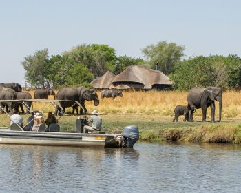 Chobe Riverfront - Boating Safari(1)-5